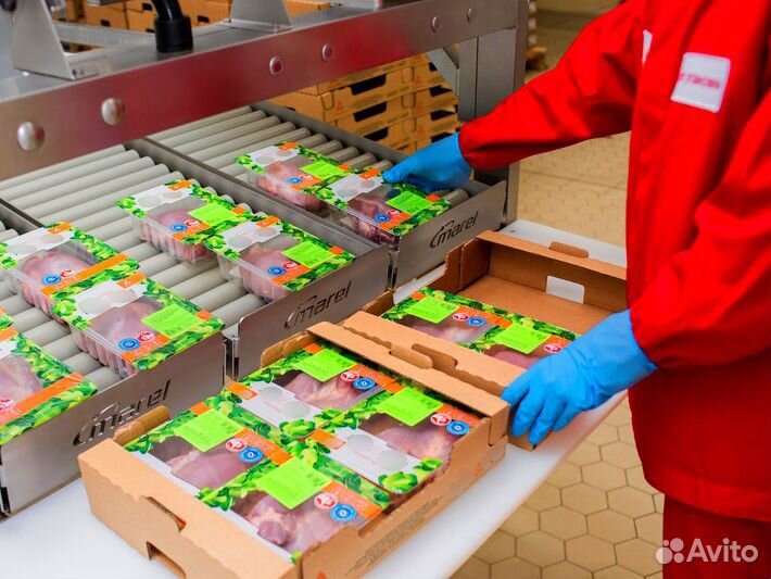 Упаковщик на завод индюшки. Вахта от 15 смен Пенза
