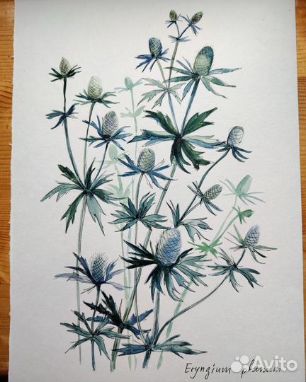 Акварель растение