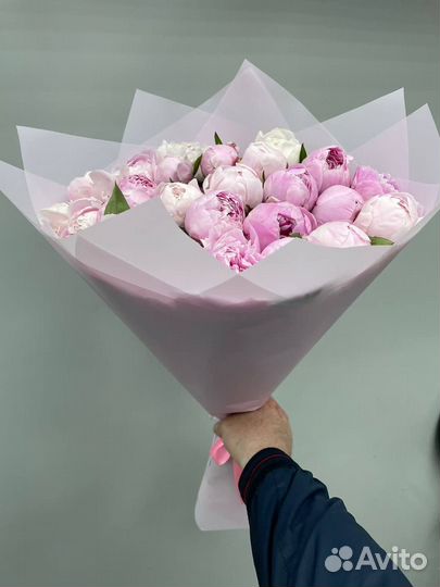 Букет пионов 25 штук
