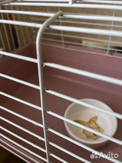 Клетка для морской свинки