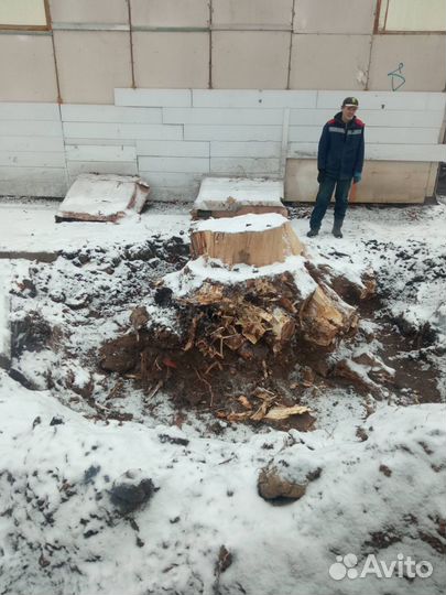 Измельчитель веток, Мини погрузчик, щётка, вилы