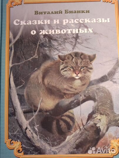 Сборник сказок и рассказов про животных