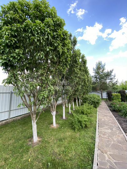 Коттедж 360 м² на участке 15 сот.