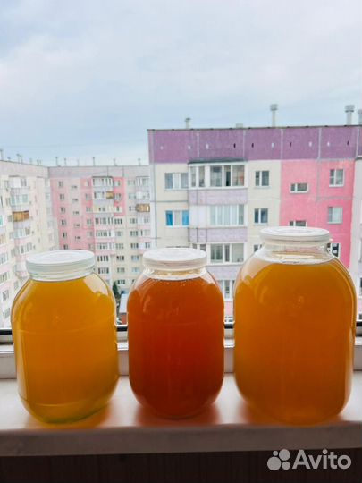 Башкирский мед 9.07.23