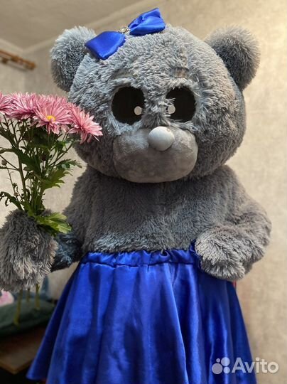 Ростовая кукла мишка аренда прокат костюма