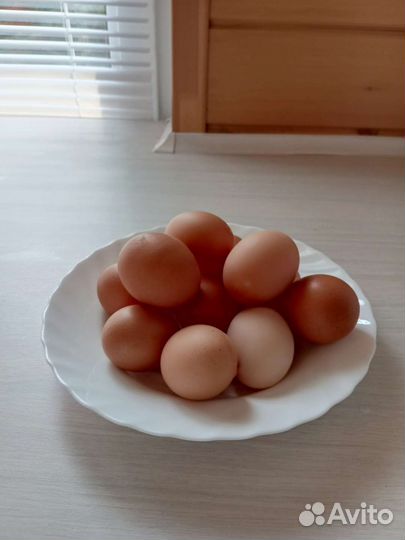Домашние куриные яйца
