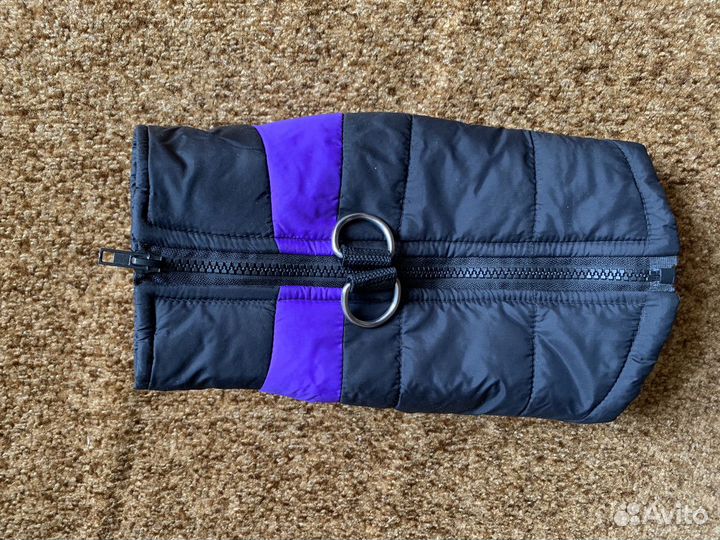 Одежда для собак