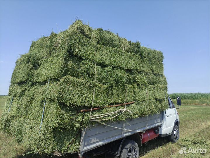 Продажа сена в тюках
