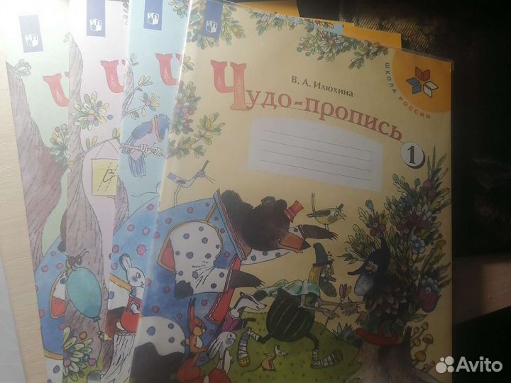 Прописи 1 класс. Илюхина