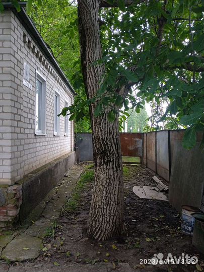 Орех на слэбы, продам