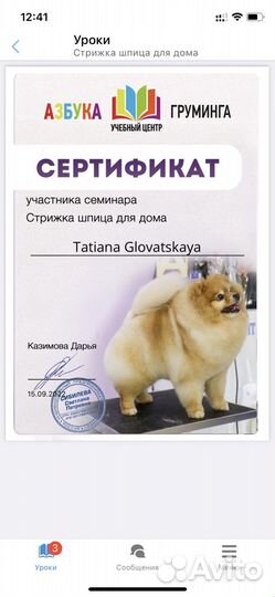 Услуги грумера