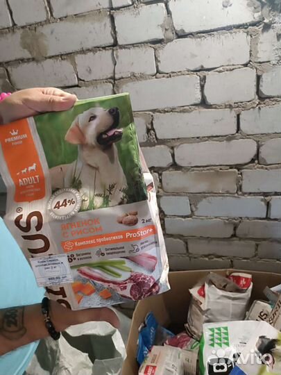 Корм для животных