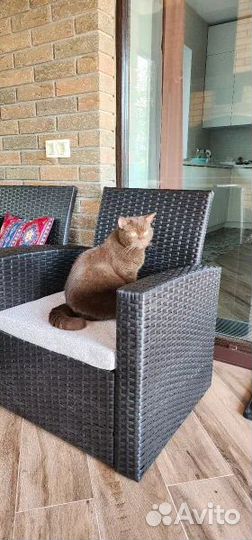 Мебель из плетеного ротанга Новые