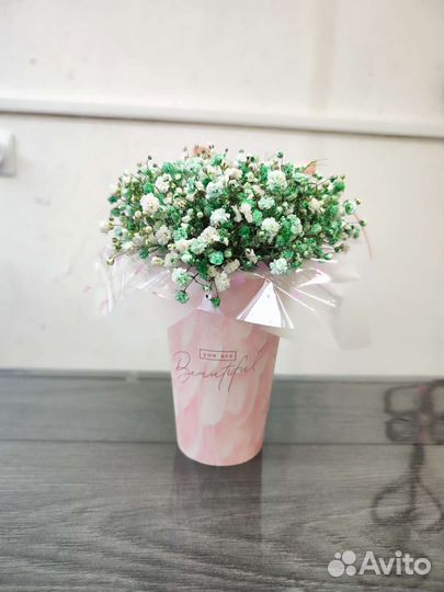 Гипсофила в стаканчике