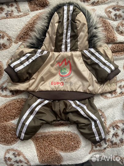 Одежда для собак