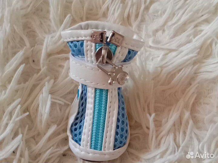 Ботиночки для собаки и сумка