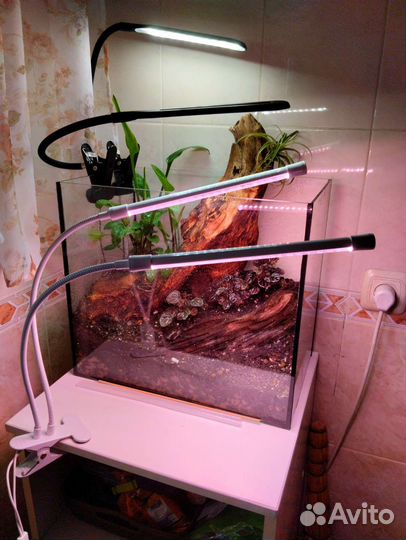 Фитолампа для растений