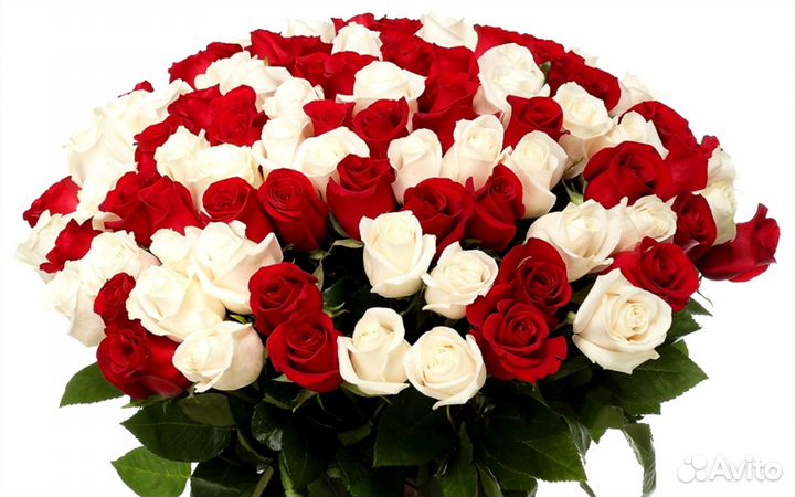 Ночной флорист