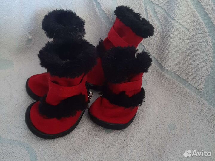 Обувь для собак мелких пород