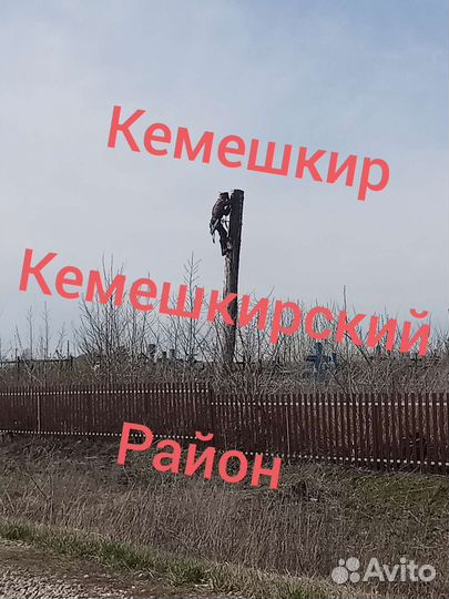 Спил,Удаление деревьев.Расчистка участков