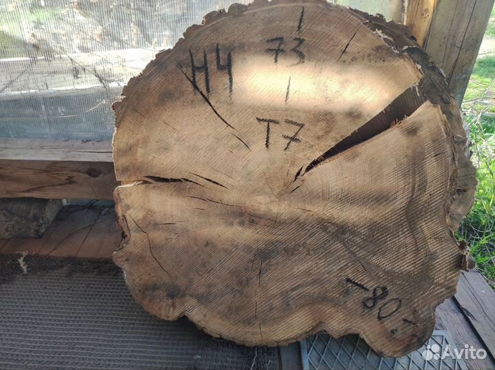 Спилы из дуба, карагача