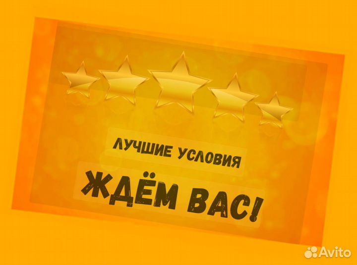 Автоэлектрик вахта Выплаты еженед. Жилье /Еда /Хор