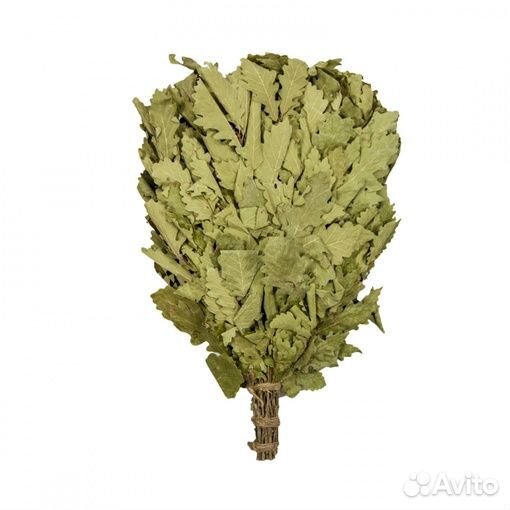 Дубовый веник для бани