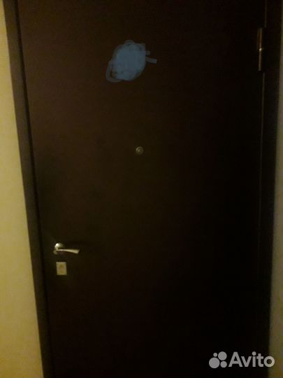 Железная входная дверь с коробкой