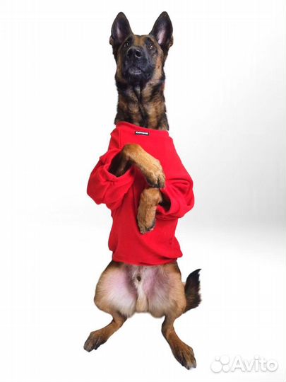 Толстовка для собак. Размер 60