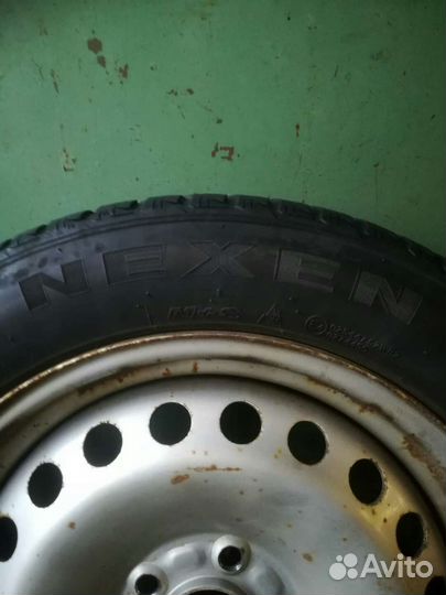 Nexen Winguard WinSpike 205/55 R16 44G