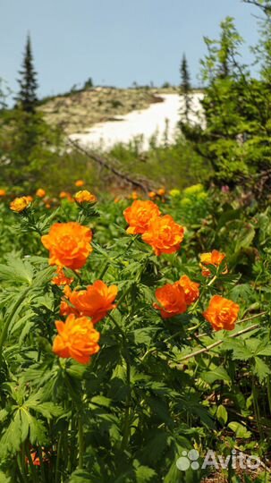 Летний поход на Поднебесные зубья