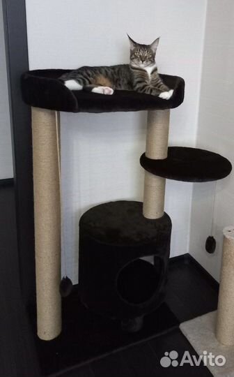 Домики для кошек,комплексы, когтеточки. Выс.1.1 м