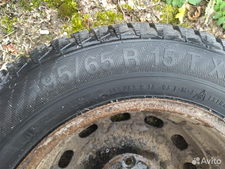 Gislaved Nord Frost 200 195/65 R15