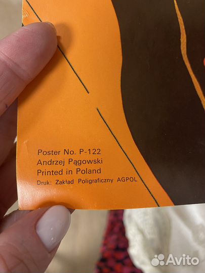 Paul McCartney The Beatles Poster