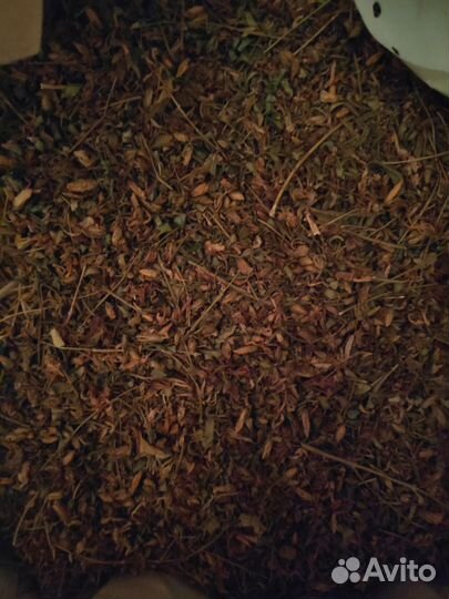 Зверобой, Мать-и-мачеха