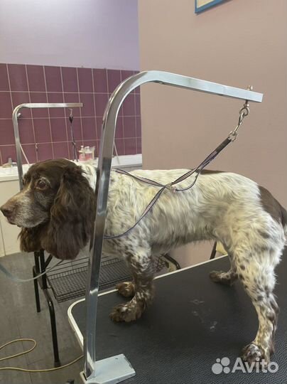 Грумер на дом