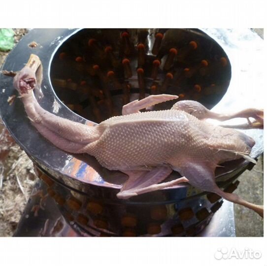 Перосъемная машина аренда