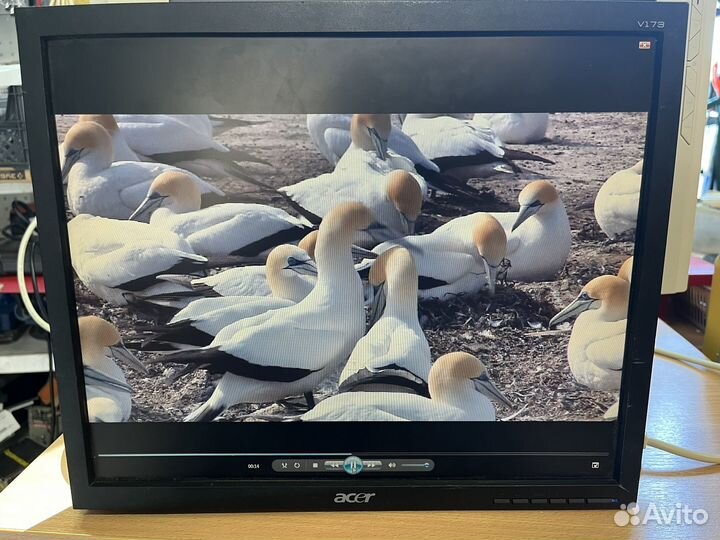 Монитор Acer 17