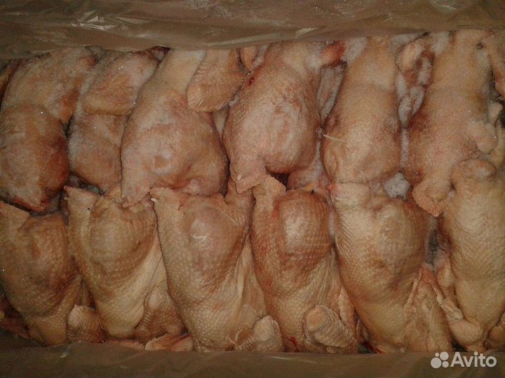 Мясо для собак