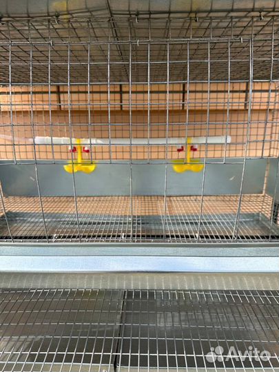 Клетки для кур несушек каркасные на 30 голов