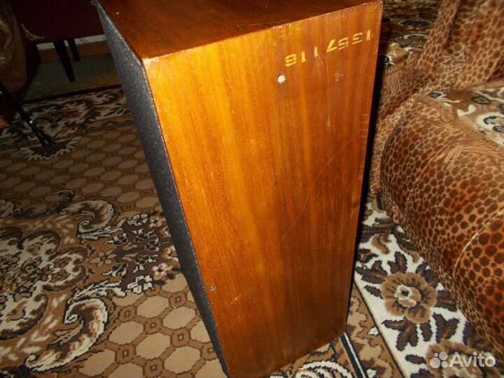 Акустика высшего класса Электроника Б1-01