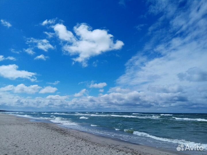 Экскурсии в Калининграде