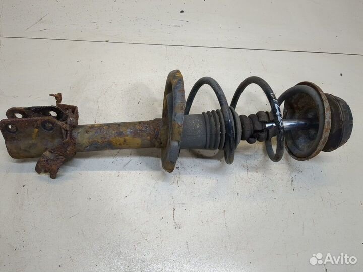 Амортизатор подвески Dacia Sandero 2012, 2013