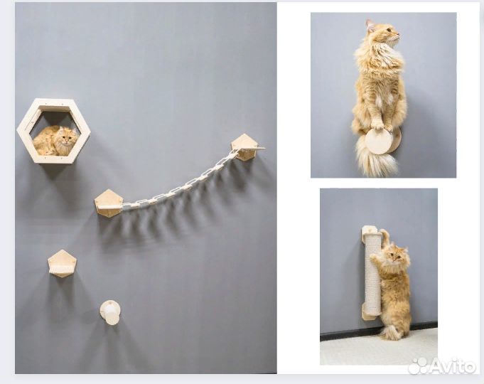 Комплексы и аксессуары для кошек