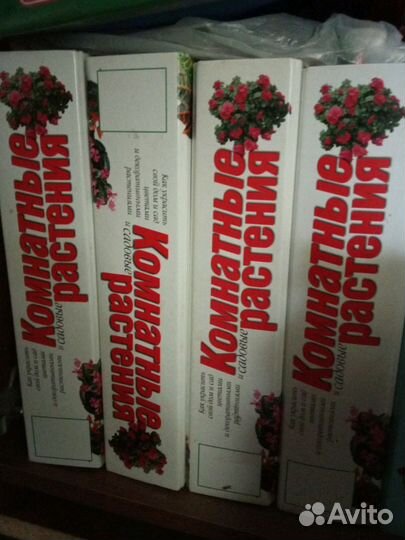 Комнатные растения