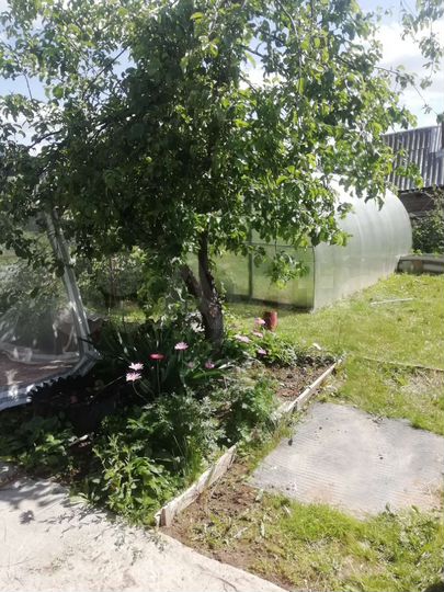 Дом 30 м² на участке 3,2 сот.