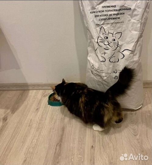 Корм для кошек стерилизованных Promenad