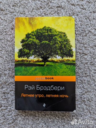 Рей Бредбери, Летнее утро, летняя ночь