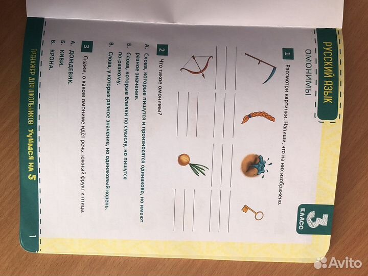 Тренажер для школьников