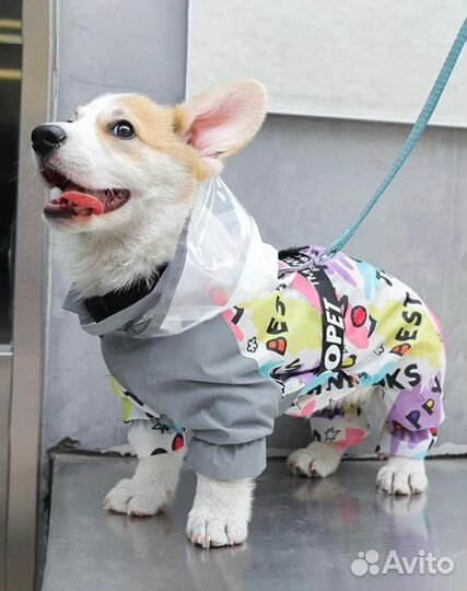 Дождевик для корги(средняя парода)